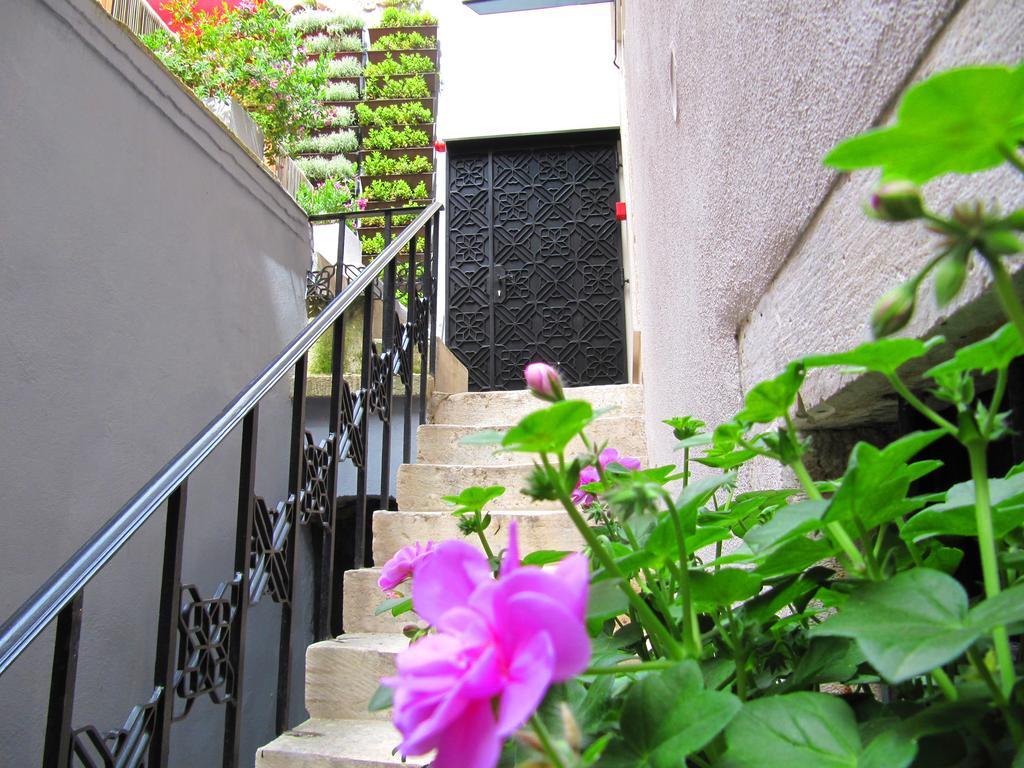 Borelli Palace & Borelli Blue Apartament Zadar